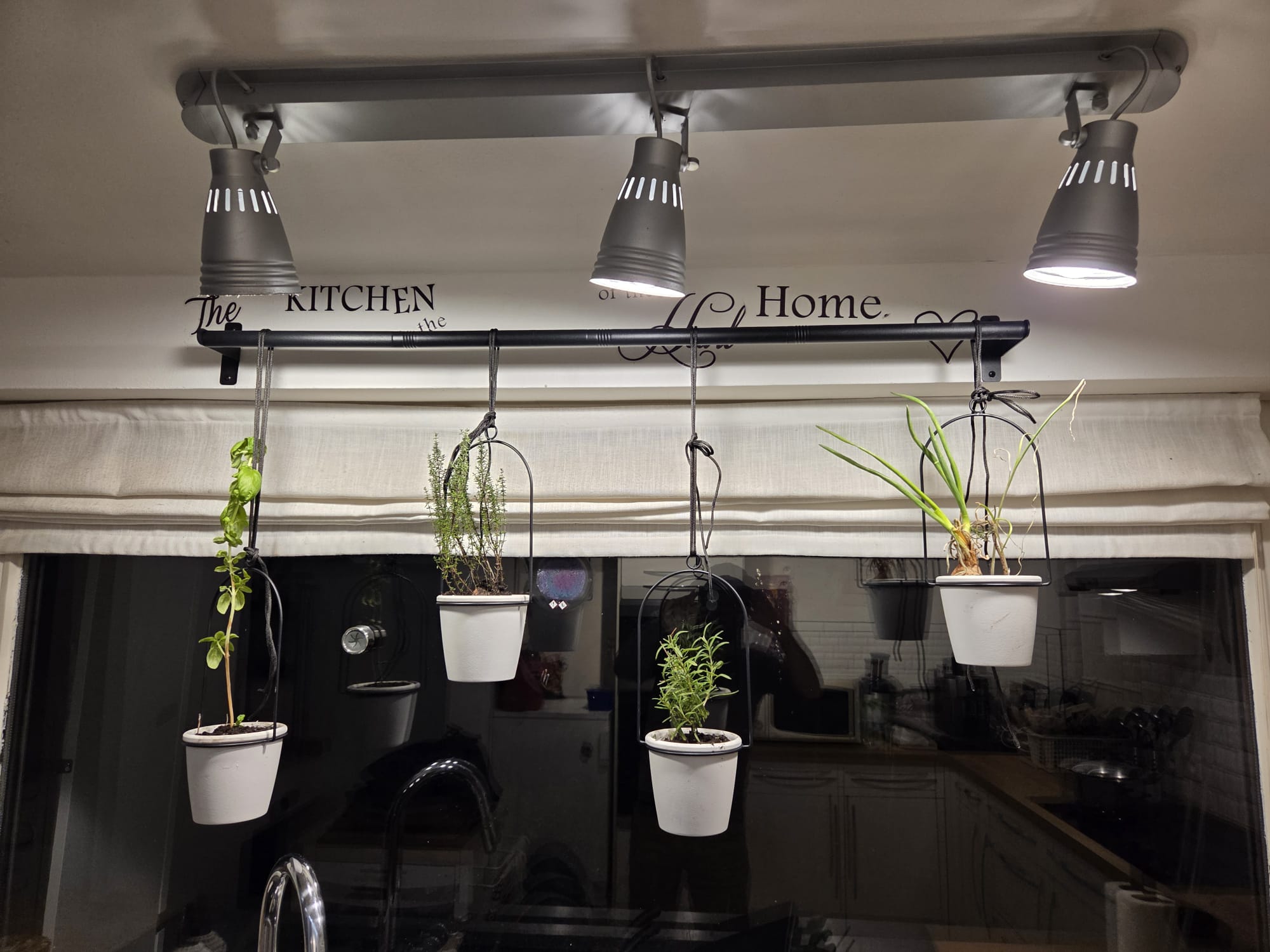 Espace commun - Jardin