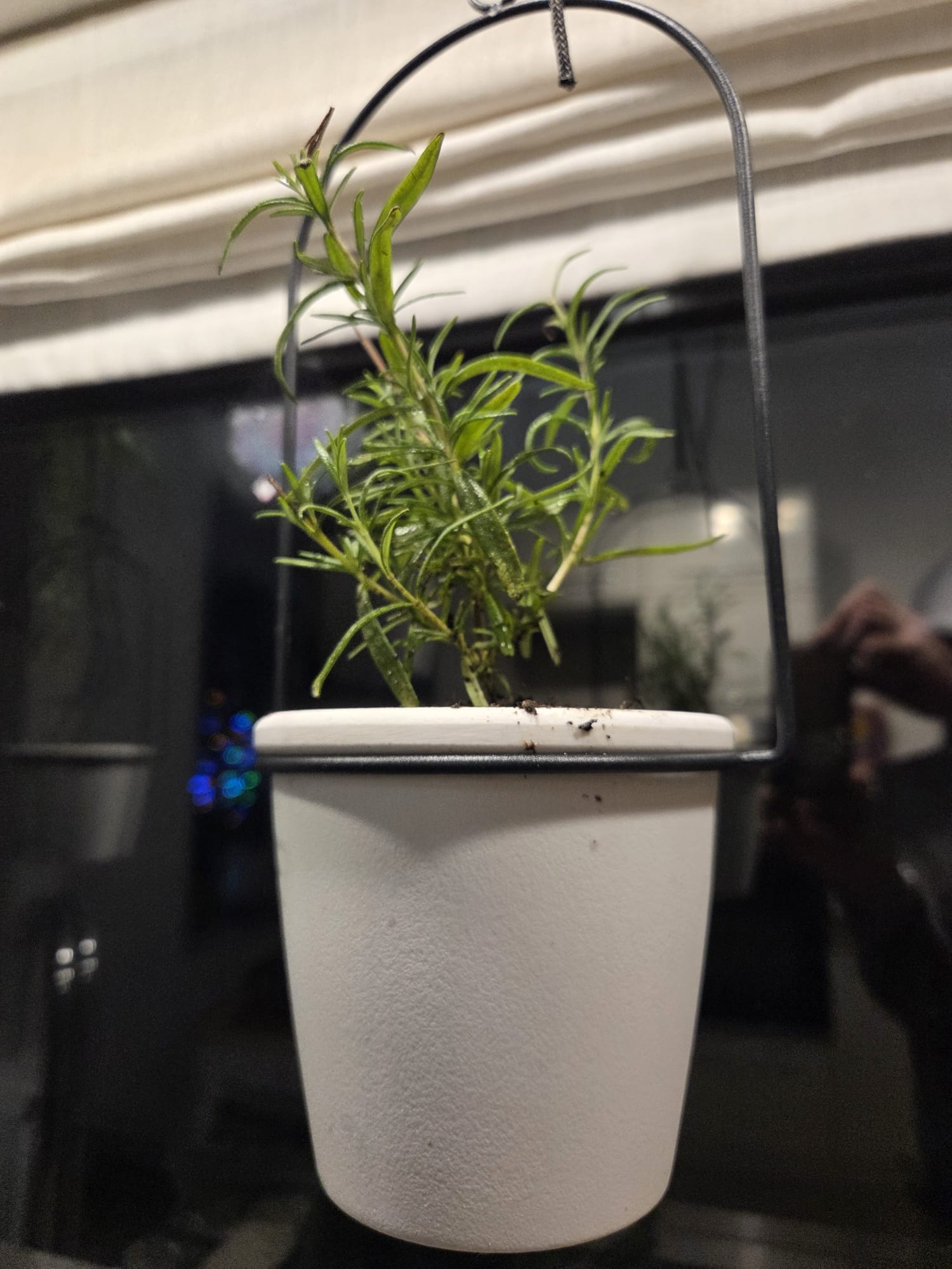 Espace commun - Extérieur