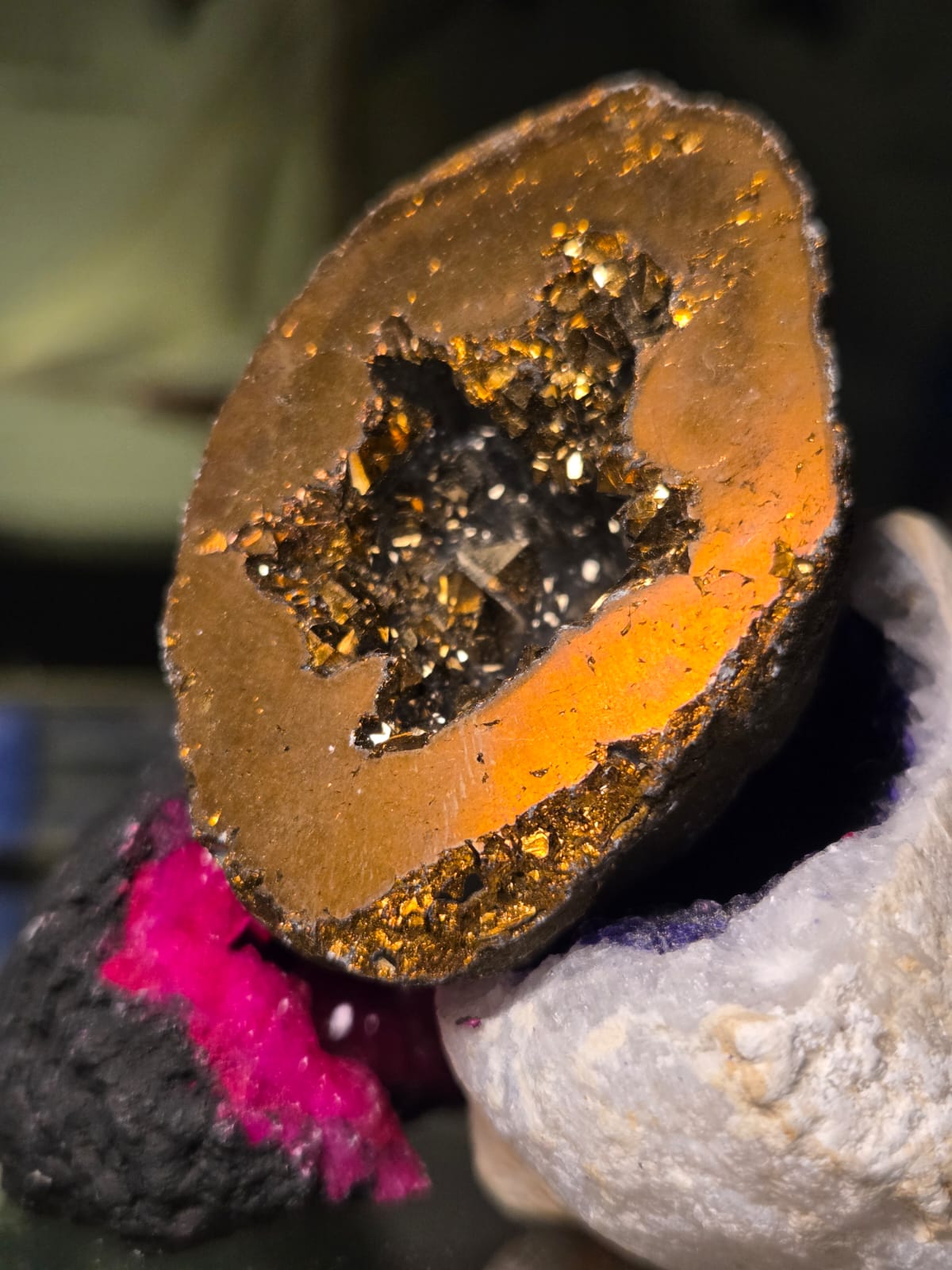 Photo de la propriété